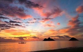 Unique Find Suite In Lanikai, Legal Vacation Rental